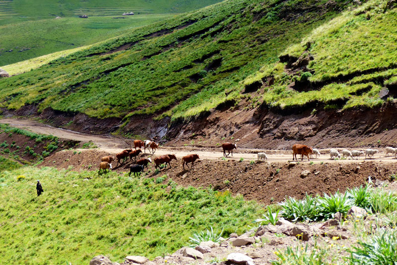 Lesotho